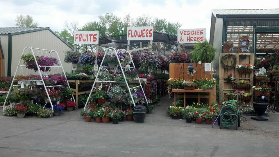 flower display front of store