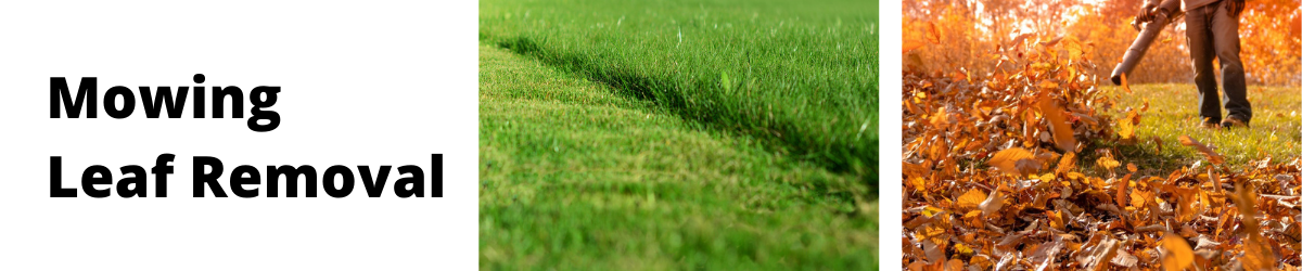 Mowing Leaf Removal