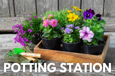 Potting Station